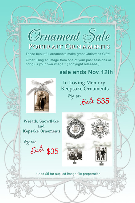 ornament sale 2
